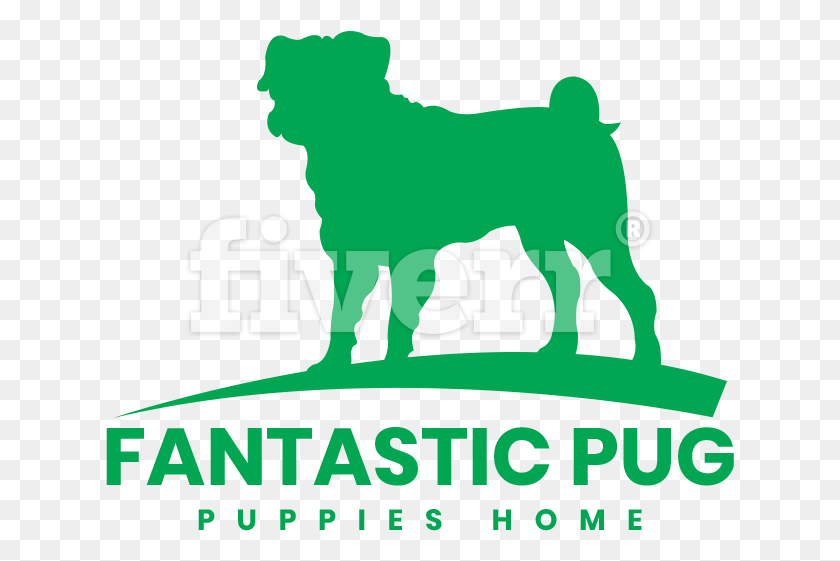 629x501 Fantastic Pug Puppies Home Ancient Dog Breeds, Text, Poster, Advertisement HD PNG Download