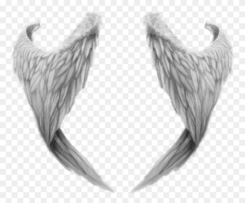 847x692 Fantasy Angel Wings Angel Wing Transparent, Chicken, Poultry, Fowl HD PNG Download