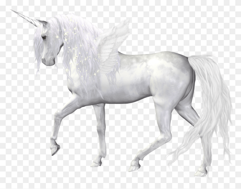 1025x790 Фэнтезийный Единорог, Лошадь, Млекопитающее, Животное Hd Png Скачать