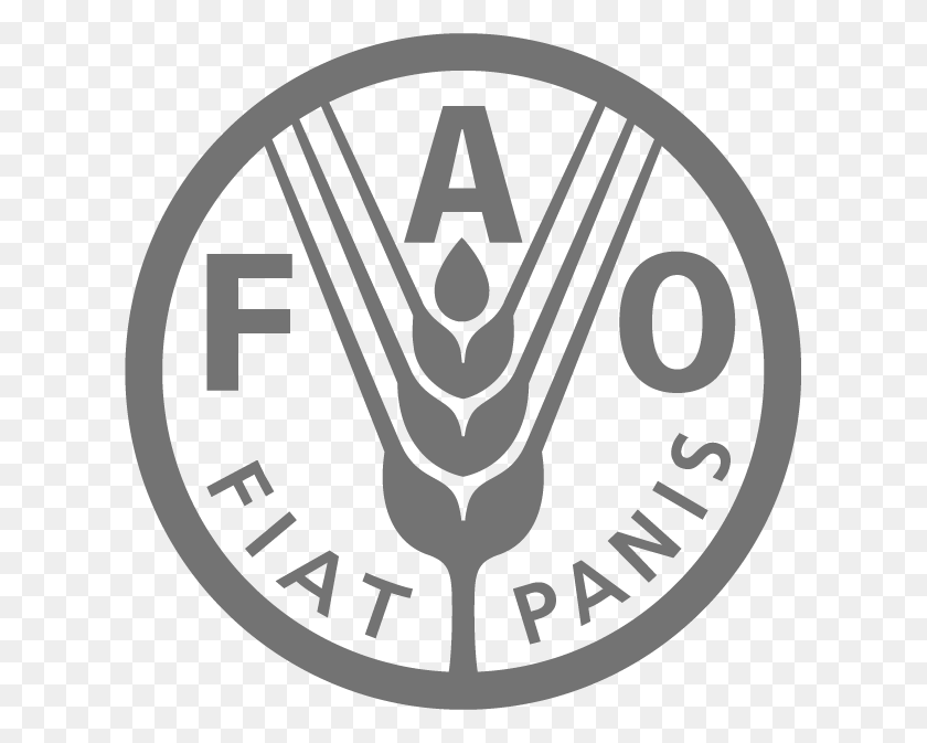613x613 Fao Logo Gray Food And Agriculture Organization, Symbol, Trademark, Emblem Descargar Hd Png