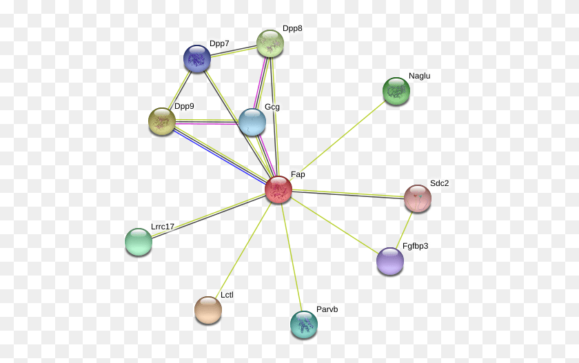 483x467 Fap Protein Circle, Network, Building, Diagram HD PNG Download