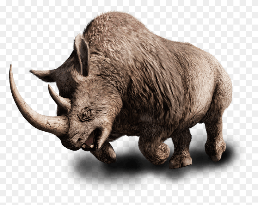 793x619 Far Cry Primal Woolly Rhino, Animal, Mammal, Bull HD PNG Download