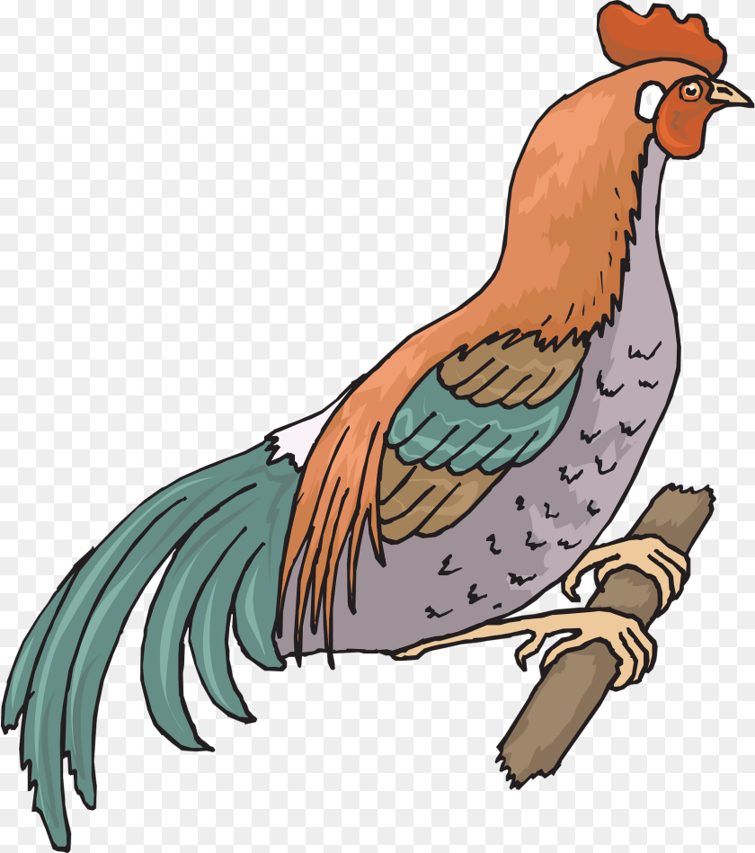 Farm Clipart, Animal, Bird, Chicken, Fowl PNG