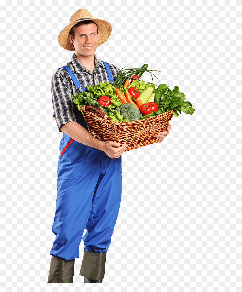 516x956 Farmer, Hat, Clothing, Apparel HD PNG Download