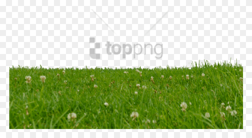 851x437 Descargar Png / Campo De Cultivo Hd Png