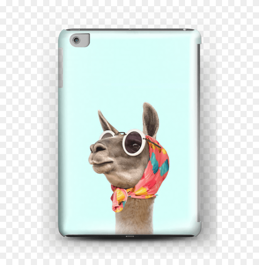 571x800 Fashion Llama Case Ipad Mini Llama Phone Case Iphone 8 Plus, Собака, Домашнее Животное, Собачий Hd Png Скачать