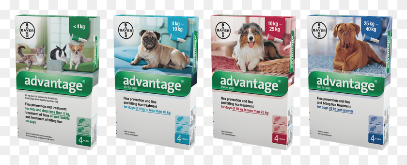 1311x472 Fast Acting Flea Treatment For Dogs Companion Dog, Advertisement, Poster, Flyer Descargar Hd Png