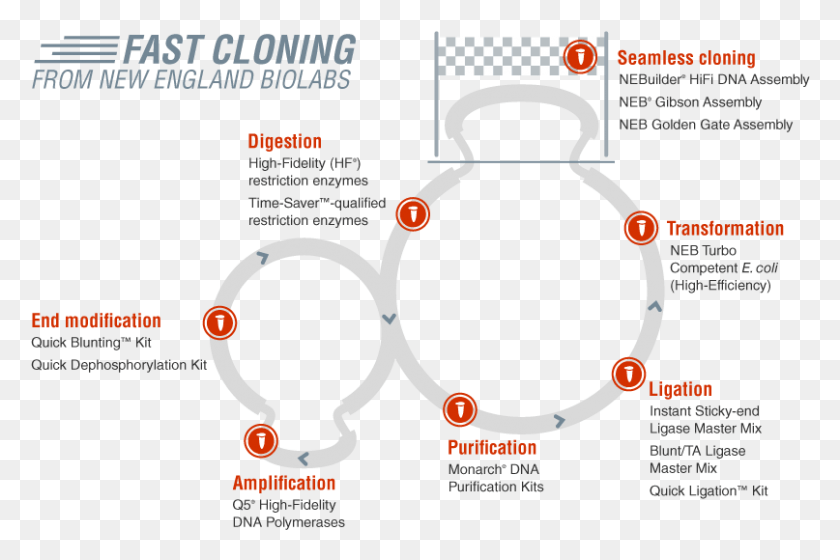 807x518 Fast Cloning Neb Fast Cloning, Accessories, Accessory, Flyer HD PNG Download