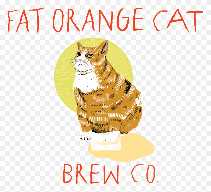 4160x3750 Жирный Апельсиновый Кот Brew Co Fat Orange Cat Beer, Животное, Домашнее Животное, Млекопитающее Hd Png Скачать