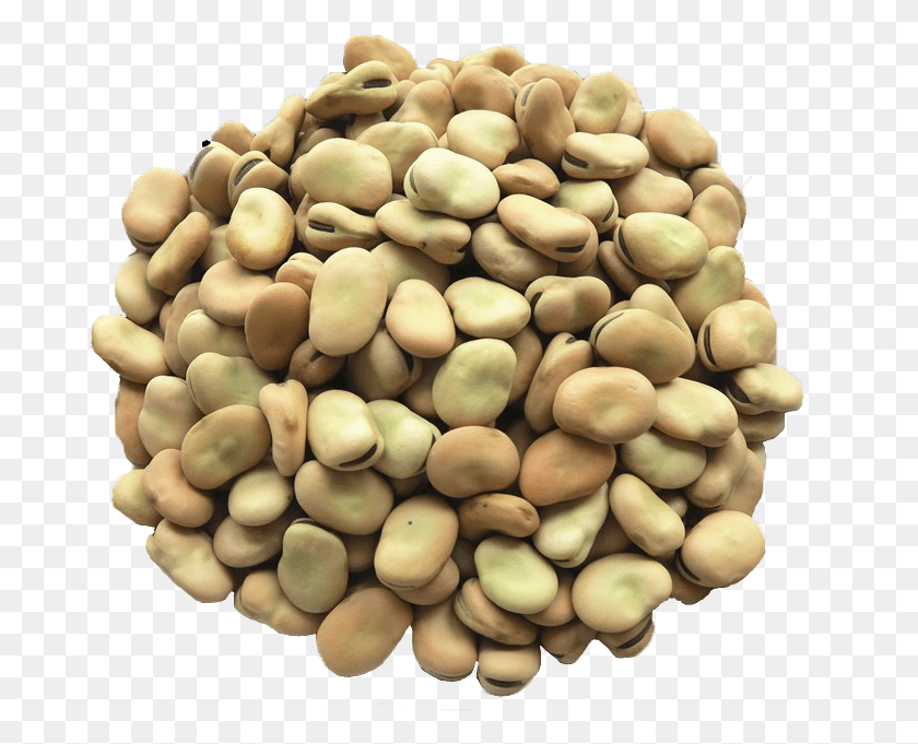 677x621 Fava Beans Chickpea, Plant, Vegetable, Food HD PNG Download