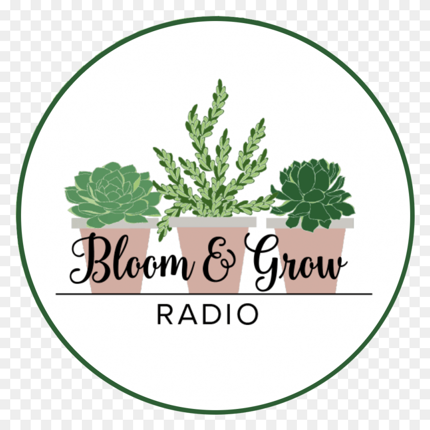 981x981 Favorite Things Holiday Gift Guide Bloom And Grow Radio, Potted Plant, Plant, Vase HD PNG Download