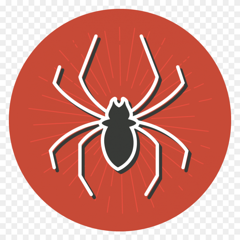 794x793 Fear Clipart Dead Spider Insect, Plant, Invertebrate, Animal HD PNG Download