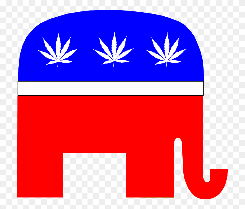 729x655 Fear Loathing And Jeff Sessions On State Legal Marijuana Republican Weed, First Aid, Plant, Leaf HD PNG Download
