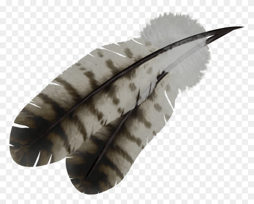 2185x1725 Feather, Animal, Bird, Snake HD PNG Download