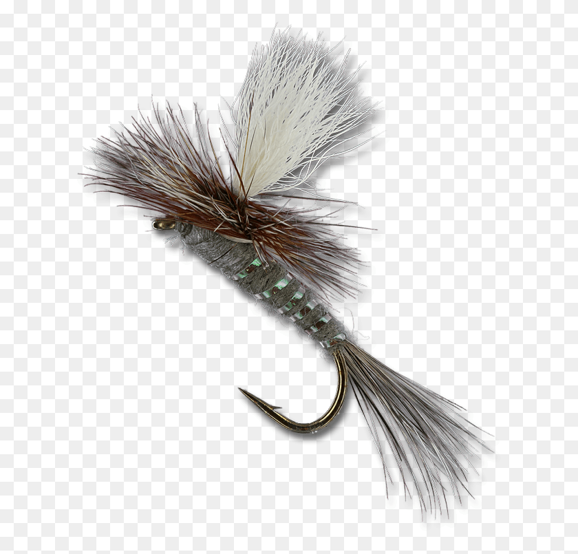 622x745 Feather, Bird, Animal, Fishing Lure HD PNG Download