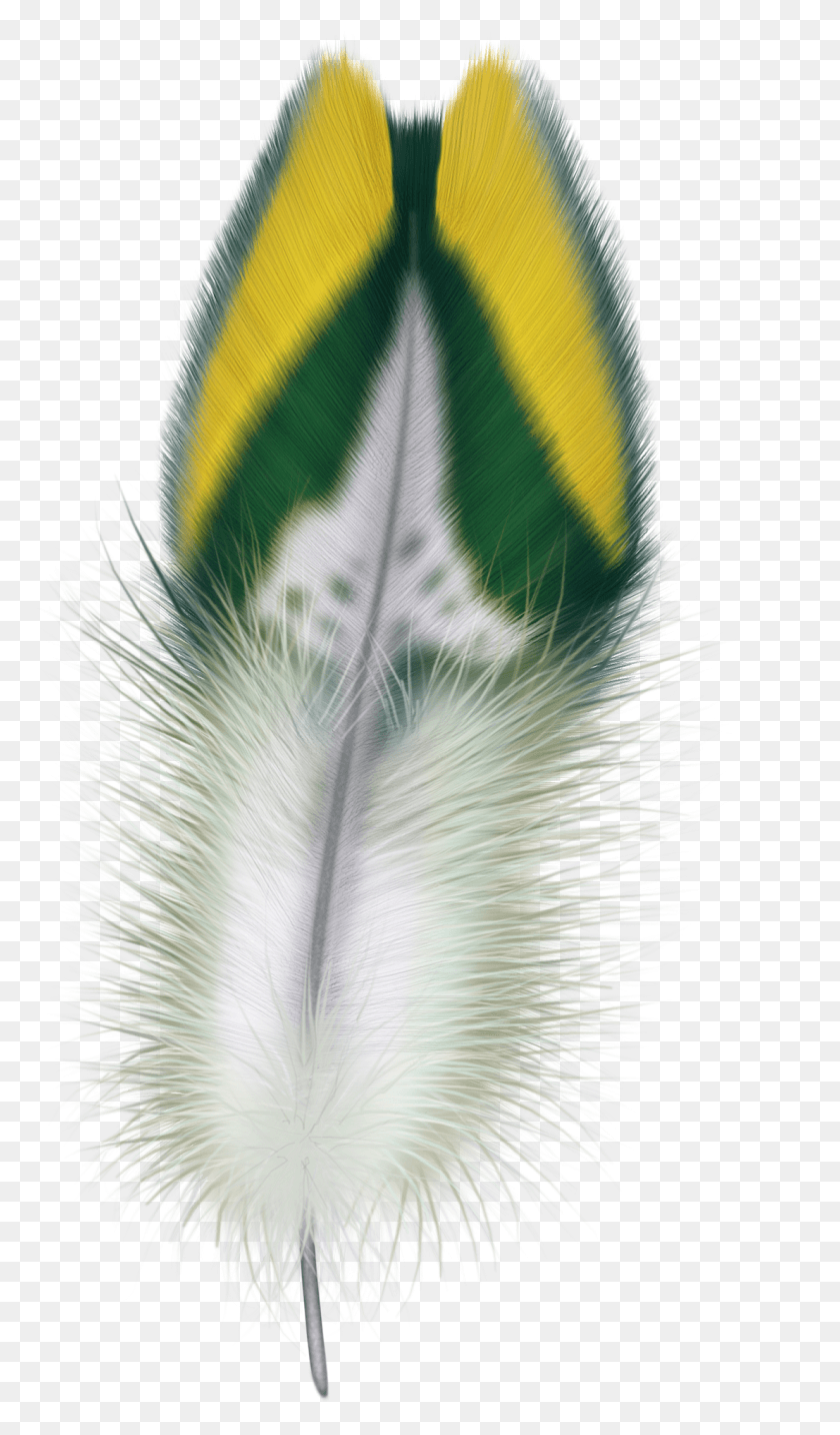 1107x1950 Feather, Graphics, Advertisement HD PNG Download