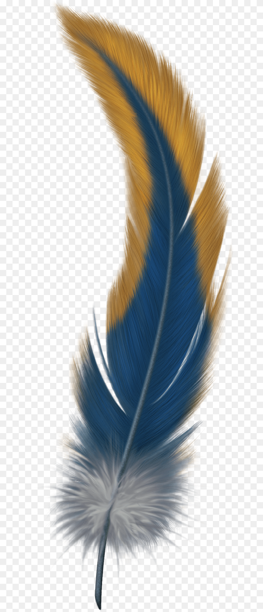 674x1950 Feather Bird Of Paradise Feather, Accessories, Pattern, Fractal, Ornament Sticker PNG