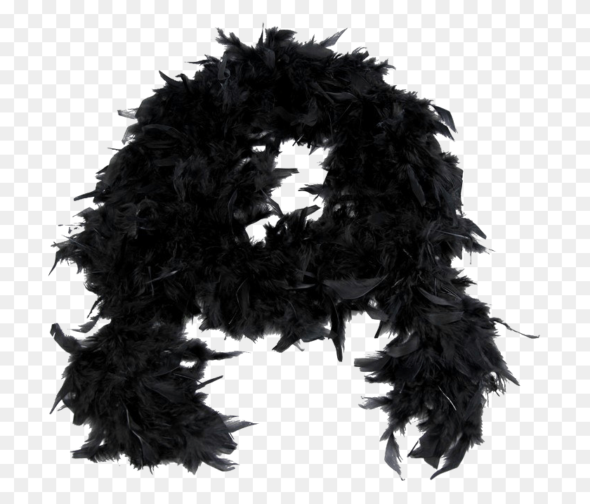 705x657 Feather Boa Image Background Lace Wig, Clothing, Apparel, Feather Boa HD PNG Download