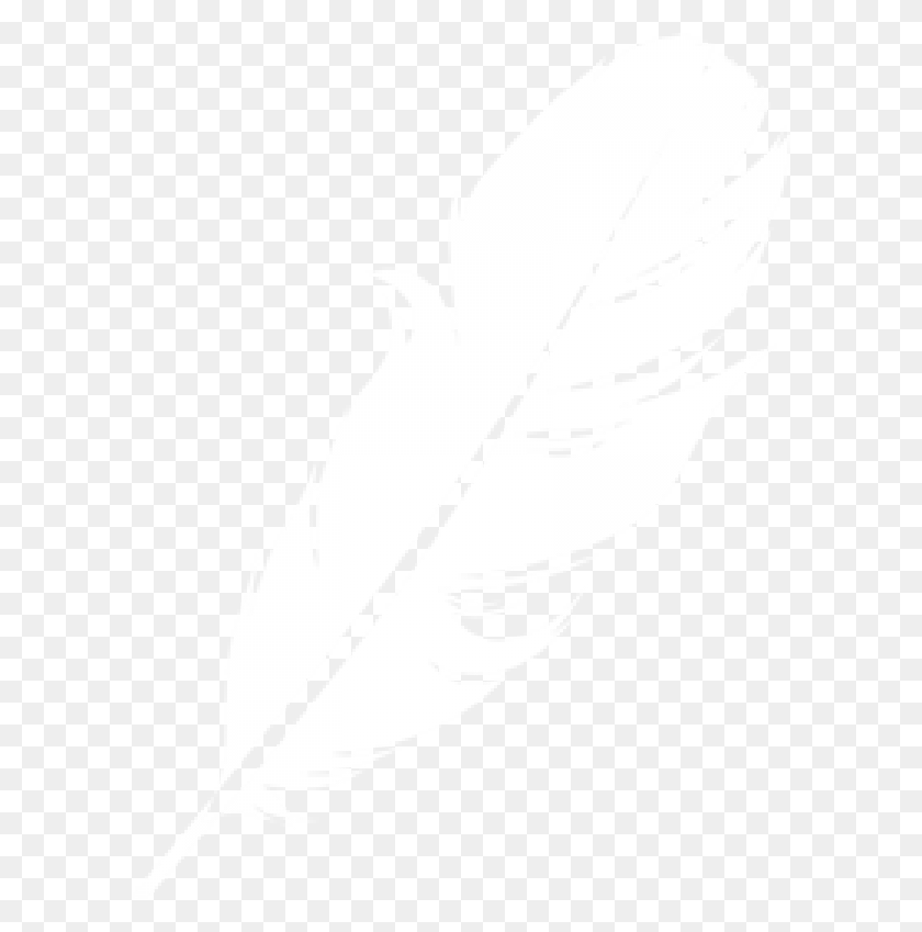 600x789 Перо Клипарт Изображение Логотипа Белое Перо На Прозрачном Фоне, Лист, Растение, Бутылка Hd Png Скачать