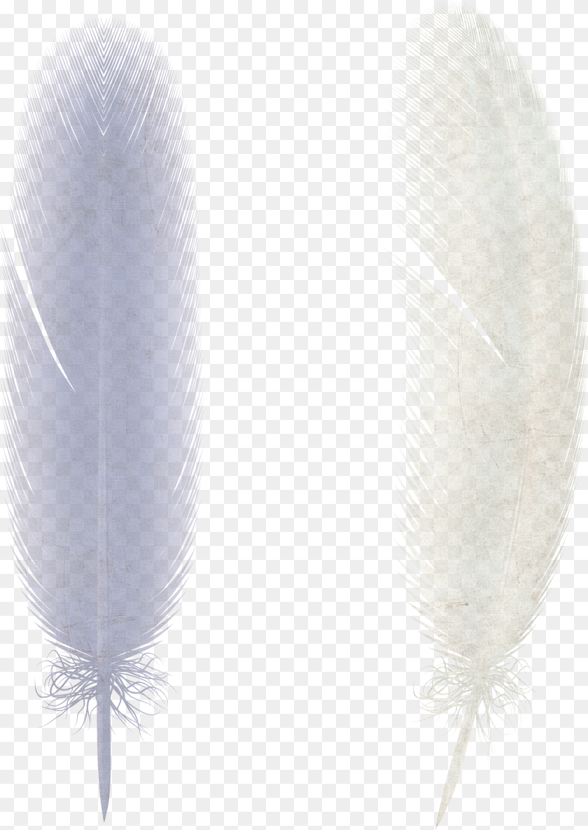 2308x3258 Feather Earrings Clipart PNG