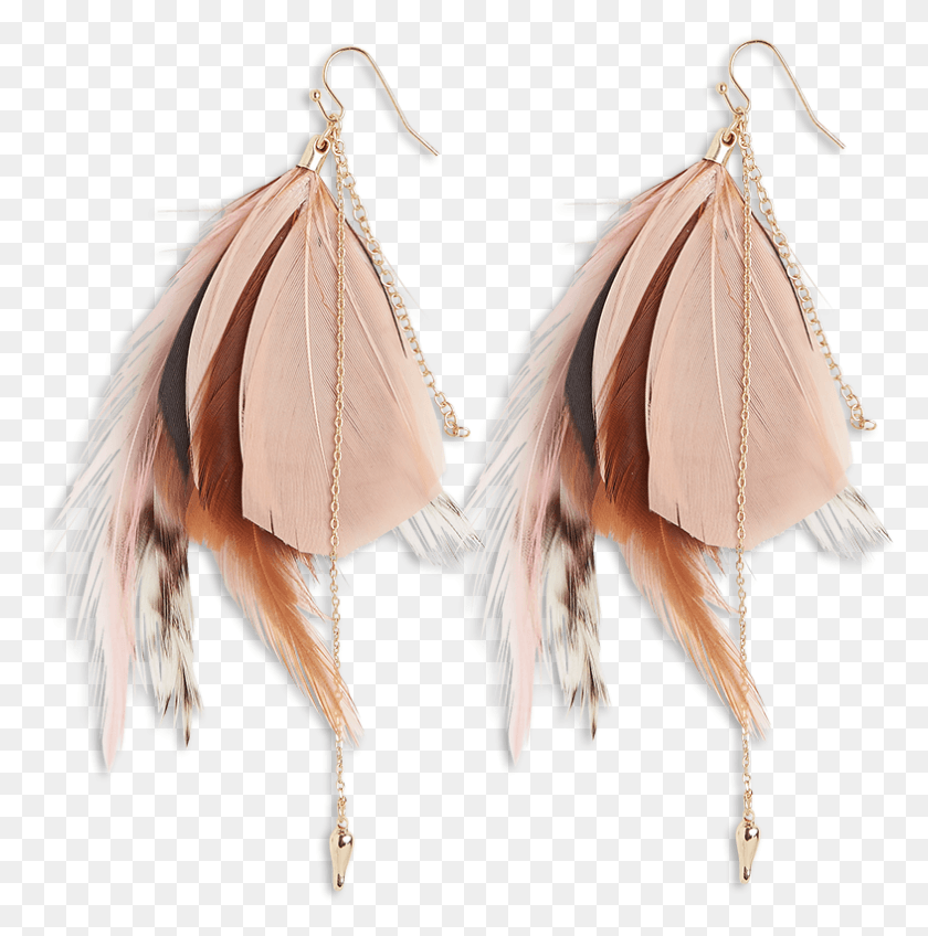 786x795 Feather Earrings Yellow Earrings, Bird, Animal, Clothing HD PNG Download