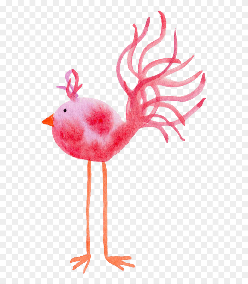 565x901 Descargar Png Pluma Viernes Freebie De Dibujos Animados, Animal, Pájaro, Flamingo Hd Png