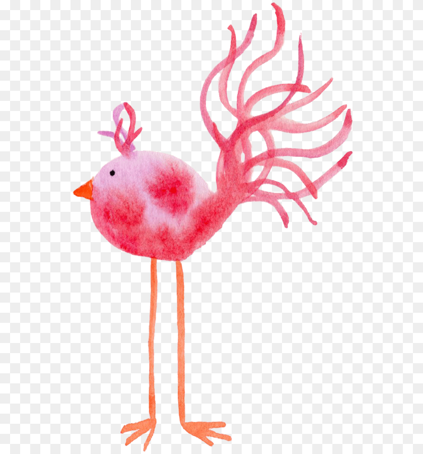 Feather Friday Freebie Janet Crosby, Animal, Bird, Flamingo PNG