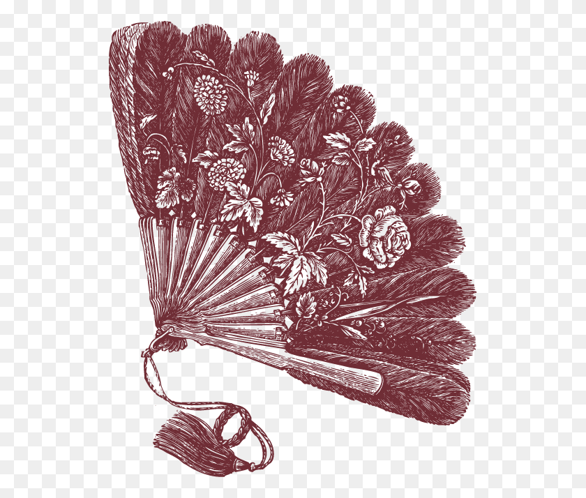 527x654 Feather Hand Fan, Plant, Graphics HD PNG Download