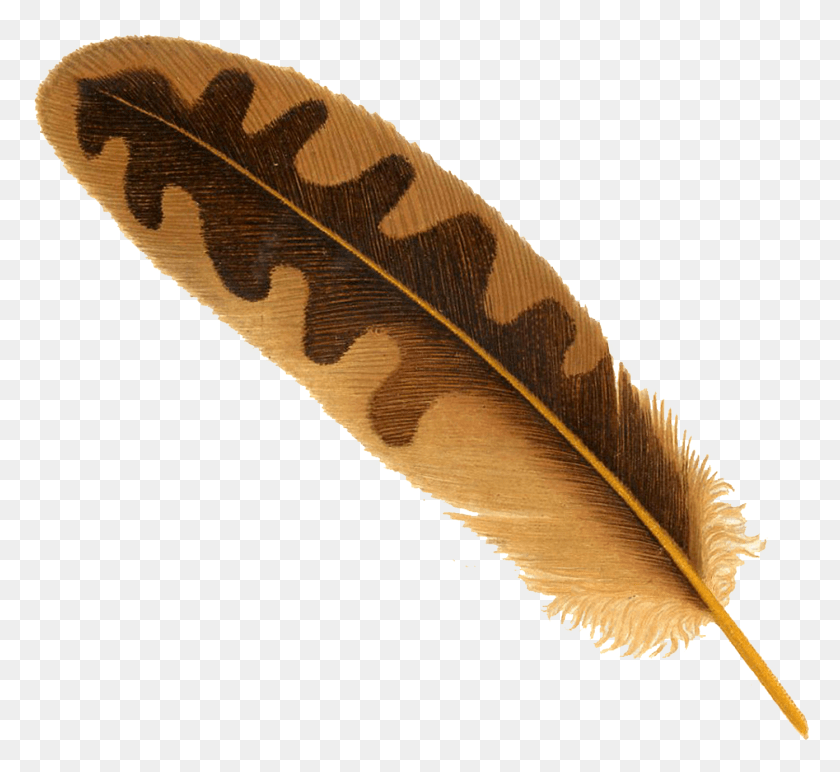 1393x1272 Feather High Quality Transparent Background Feather, Leaf, Plant, Bird HD PNG Download