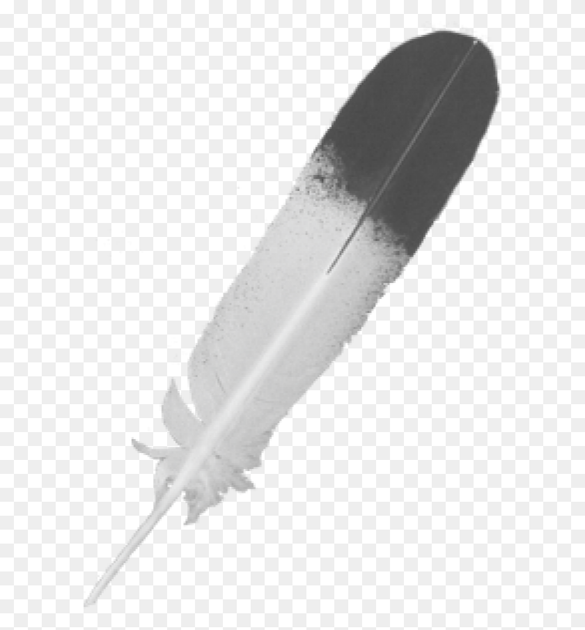 600x844 Feather Icon Image Skateboard, Oars, Weapon, Weaponry HD PNG Download