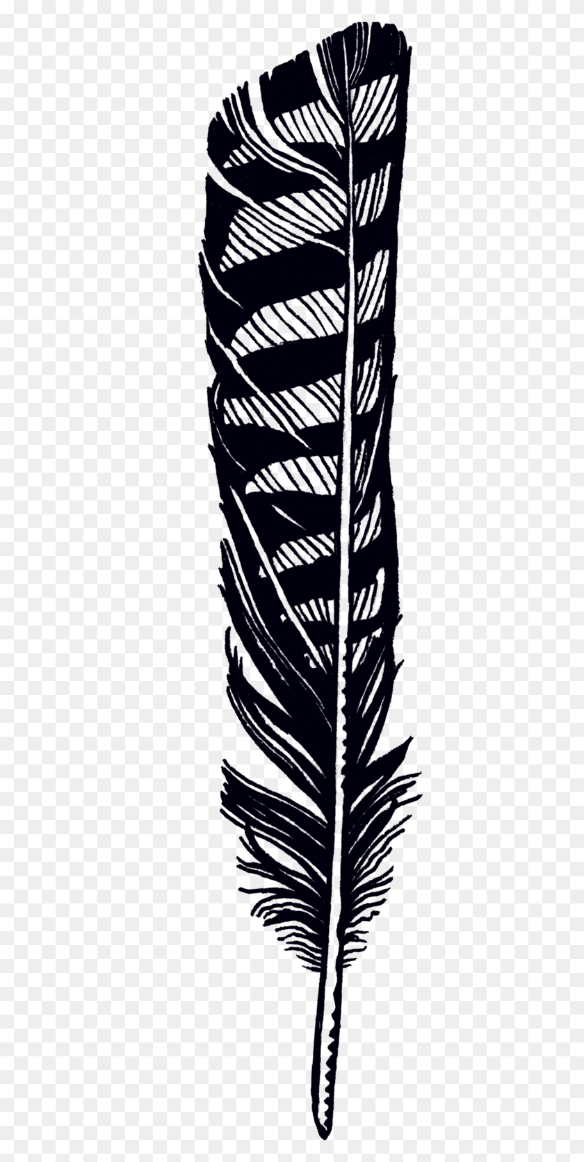 378x1612 Feather Jen Mussari Transparent Feathers Hawk Banner Hawk Feather Black And White, Nature, Outdoors, Clothing HD PNG Download