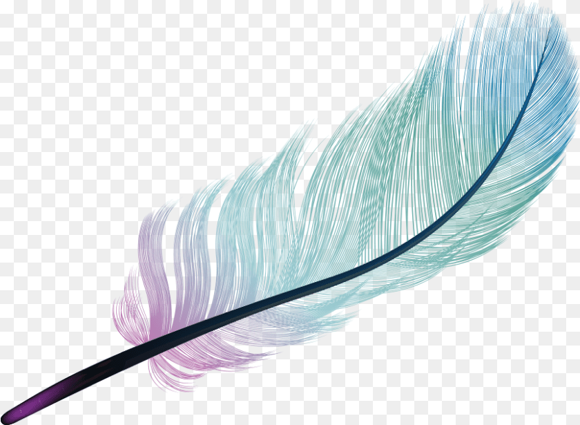 864x633 Feather Light Blue Color Feather, Bottle, Accessories, Animal, Art Sticker PNG