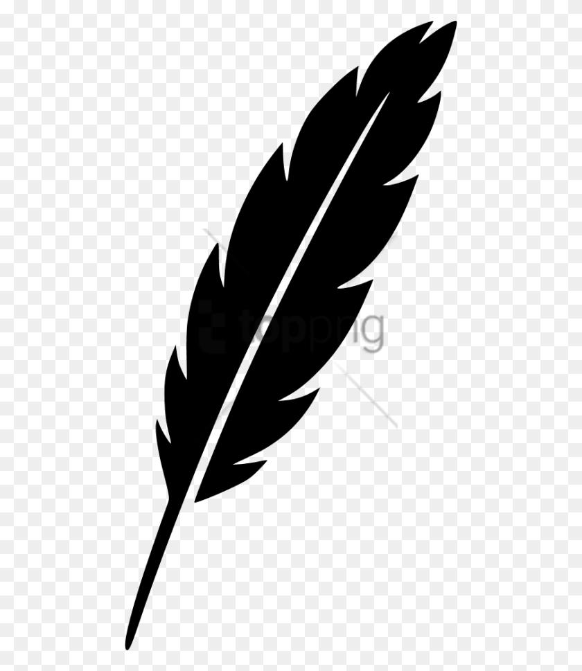 480x909 Feather Pen Transparent Background Feather And Ink Icon, Symbol, Leaf, Plant HD PNG Download
