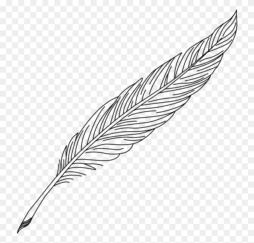 730x743 Feather Quill Nib Pens Ink Feather Quill Pen Drawing, Gray, World Of Warcraft HD PNG Download