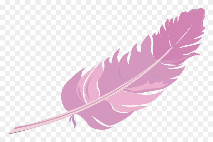 1920x1235 Feather Vector Picsart Sticker Feathers, Leaf, Plant, Bottle HD PNG Download