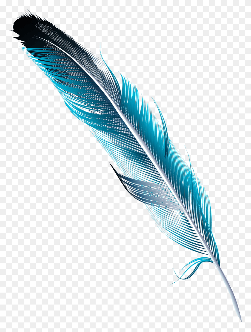 1501x2025 Feather Watercolor Painting Drawing Painted Blue Transprent Feathers, Bottle, Bird, Animal HD PNG Download