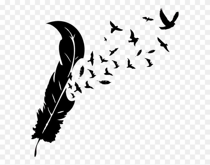 595x602 Feather With Birds Silhouette Feather To Birds, Text, Handwriting, Calligraphy HD PNG Download
