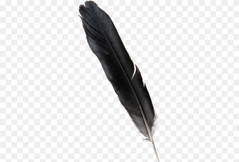 Feather Writing, Bottle, Person, Ink Bottle Sticker PNG