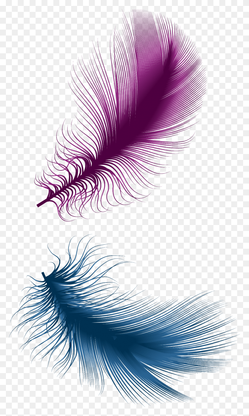 1024x1767 Feathers Feather Floatingfeathers Filigree Swirls Illustration, Graphics, Pattern HD PNG Download