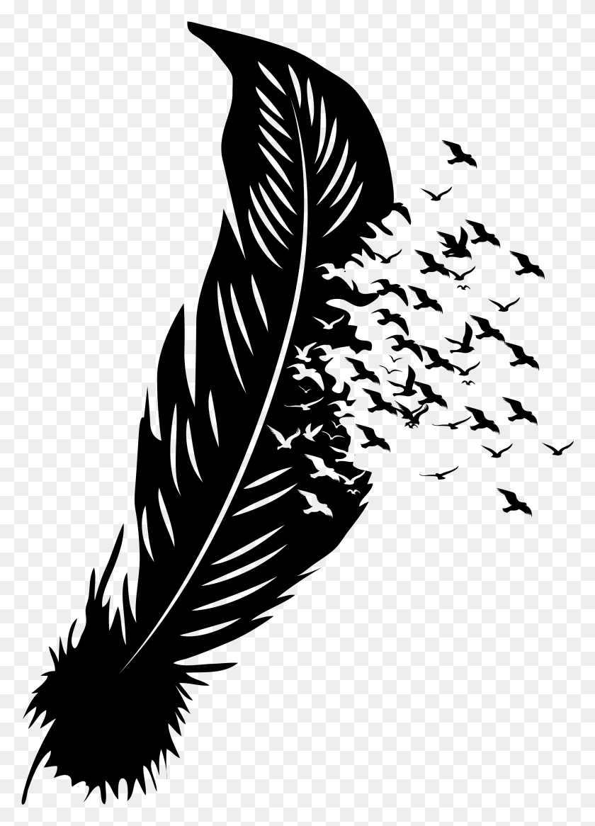 2519x3572 Feathers Illustration, Nature, Outdoors, Night HD PNG Download