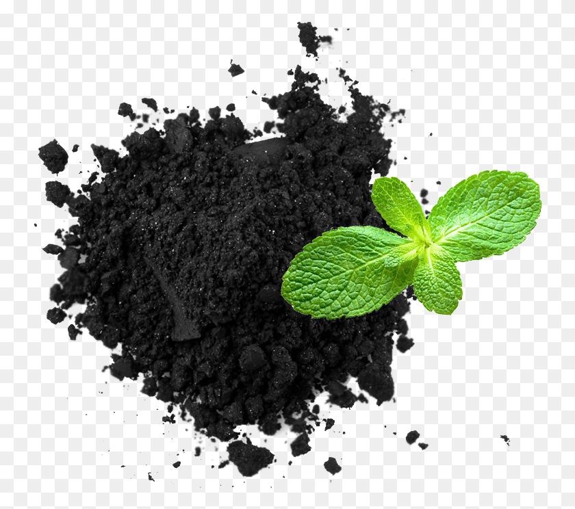 744x684 Featured Ingredient Charcoal Charcoal Powder Vector, Potted Plant, Plant, Vase HD PNG Download
