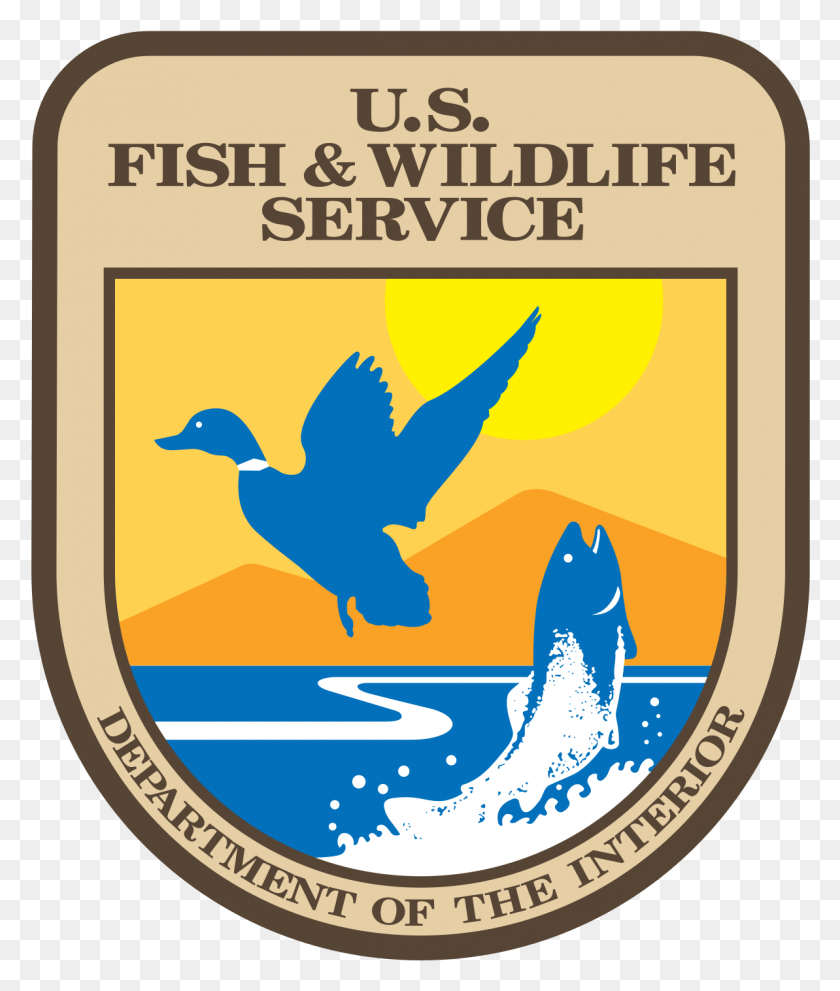 1193x1425 Featured Photo Courtesy Of The U Us Fish And Wildlife Service, Logo, Symbol, Trademark HD PNG Download