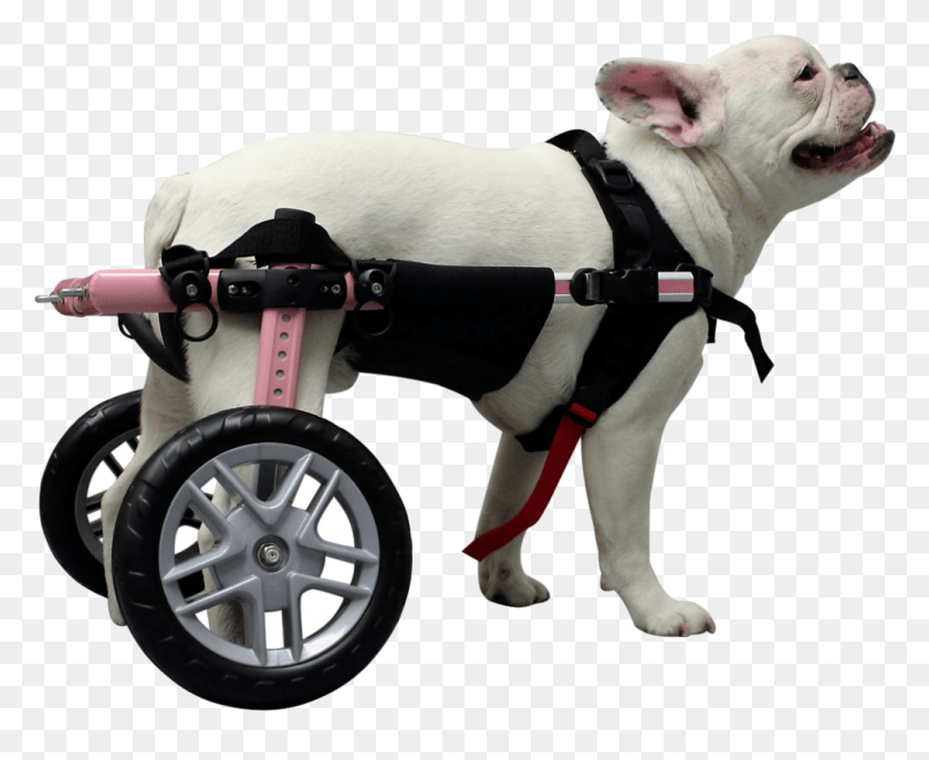 1030x829 Features Of The Walkin39 Belly Support Dog Carts For Handicapped Dogs, Wheel, Machine, Harness HD PNG Download