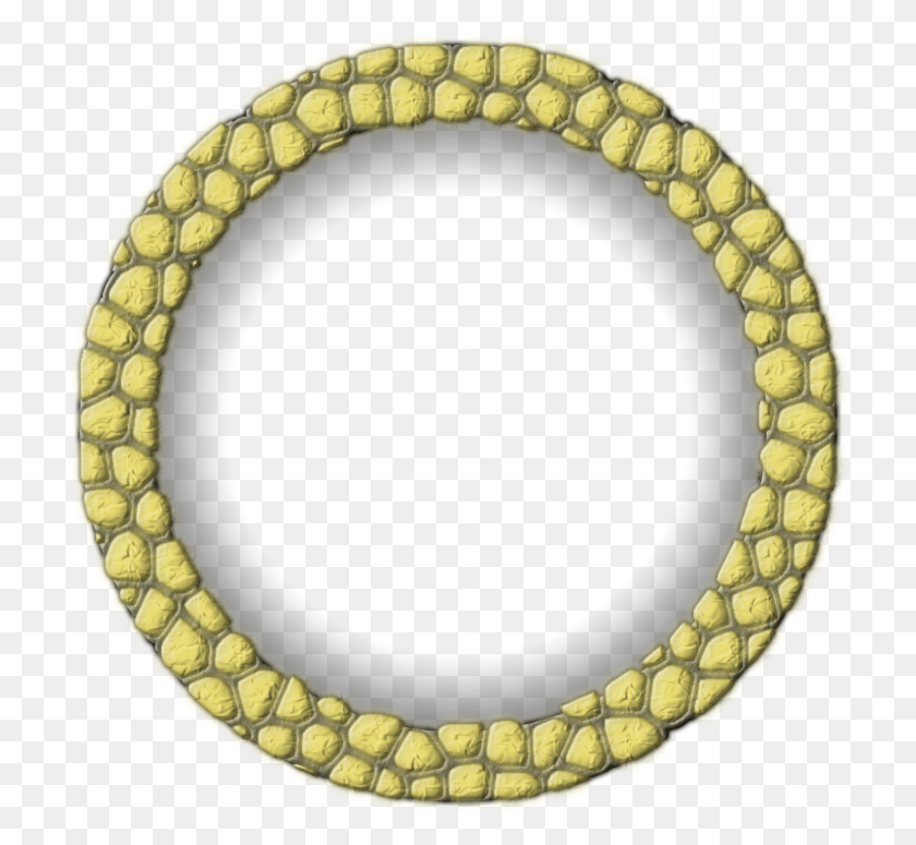 717x715 Feb 2009 Circle Illusions, Bracelet, Jewelry, Accessories Descargar Hd Png