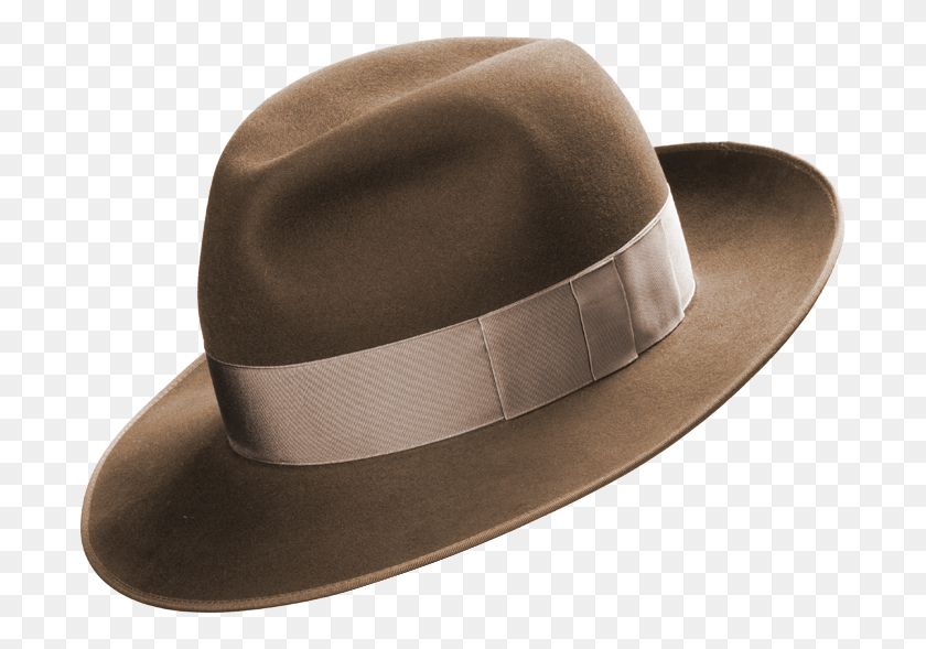 700x529 Fedora, Clothing, Apparel, Hat HD PNG Download