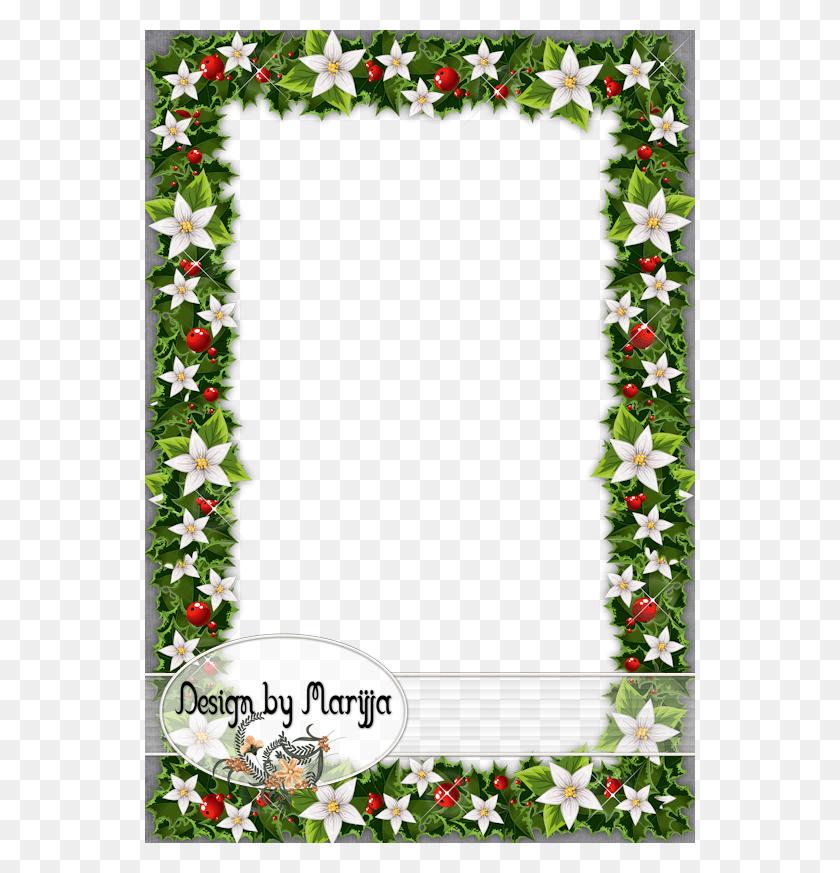 550x813 Descargar Png Fehr Virgoswhite Poinsettia Mensaje Por Navidad A Colaboradores, Plant, Ornament, Lei Hd Png