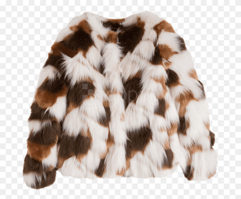 693x634 Felina Fur Coat Randal Pepe Jeans, Тигр, Дикая Природа, Млекопитающее Png Скачать