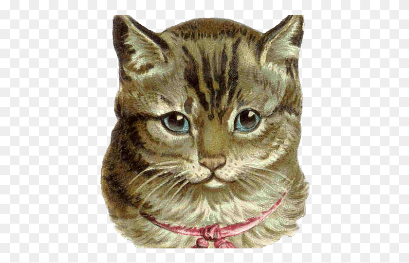 432x481 Feline Clipart Tabby Cat Cat Vintage, Pet, Mammal, Animal HD PNG Download