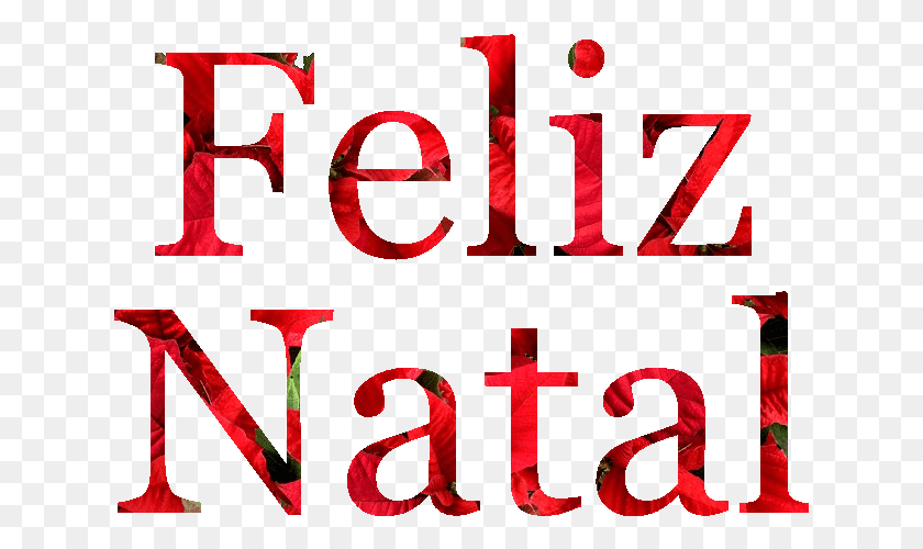 633x440 Feliz Natal Em Flores De Natal Colorfulness, Alphabet, Text, Number HD PNG Download