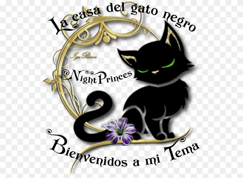 550x615 Feliz Sergio Skywalker2214 Dia Internacional De La Mujer Con Gato, Graphics, Art, Pattern, Floral Design Sticker PNG